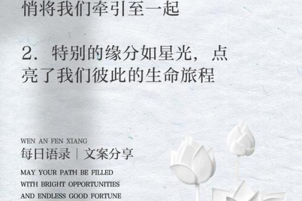 一定是特别的缘分 特别的缘分命中注定的奇妙相遇 一定是特别的缘分 特别的缘分命中注定的奇妙相遇