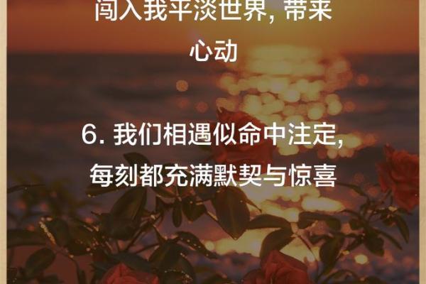 一定是特别的缘分 特别的缘分命中注定的奇妙相遇 一定是特别的缘分 特别的缘分命中注定的奇妙相遇