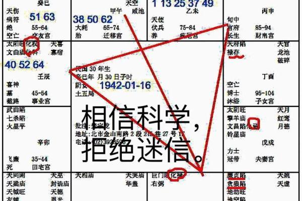 2025年3月11日寅时男命紫微斗数全解盘 2025年3月11日寅时男命紫微斗数全解盘