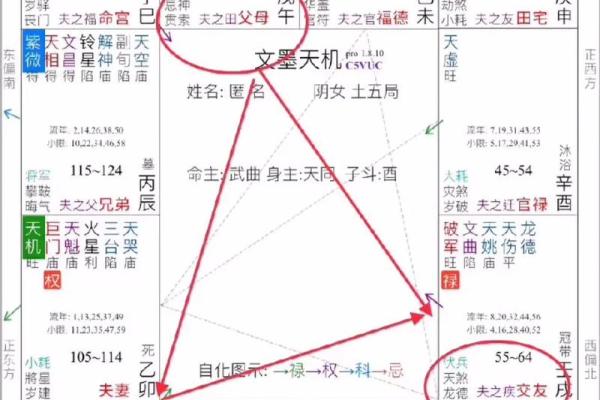 2025年3月11日寅时男命紫微斗数全解盘 2025年3月11日寅时男命紫微斗数全解盘