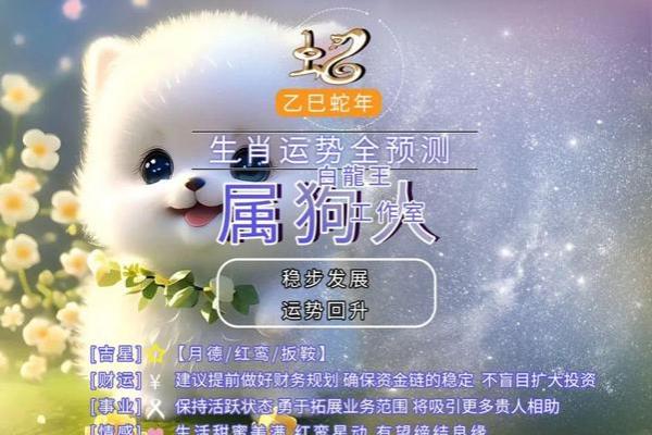 属狗的2025多大了_2025年属狗的多大 属狗的2025多大了_2025年属狗的多大