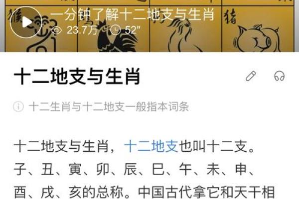 1988年腊月二十八属龙还是属蛇 1988年农历腊月廿八生人生肖归属龙蛇之辨