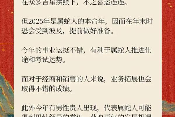 属兔人在蛇年的运势怎么样 属兔人蛇年运势解析财运事业感情全揭秘 属兔人在蛇年的运势怎么样 属兔人蛇年运势解析财运事业感情全揭秘