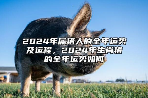 2025年属猪财运与运势解析机遇与挑战并存 2025年属猪财运与运势解析机遇与挑战并存