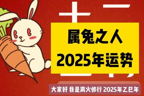 属兔的蛇年运势2025年运程_属兔的蛇年运势2025年运程详解 属兔的蛇年运势2025年运程_属兔的蛇年运势2025年运程详解