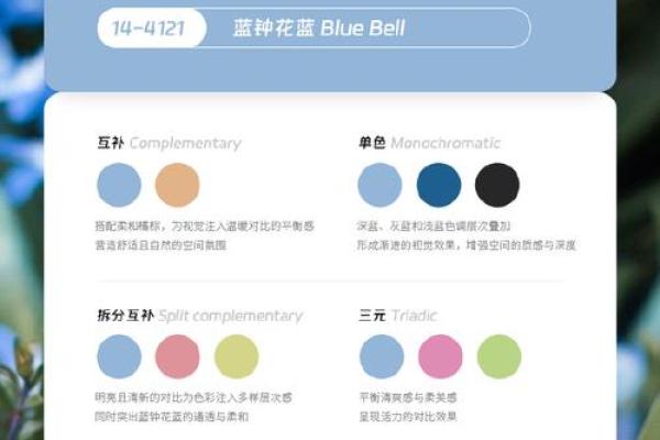 2025龙年开运色全解析全年幸运色彩指南 2025龙年开运色全解析全年幸运色彩指南