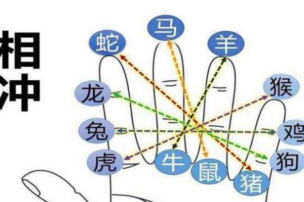 家喻户晓指什么生肖 家喻户晓指什么生肖