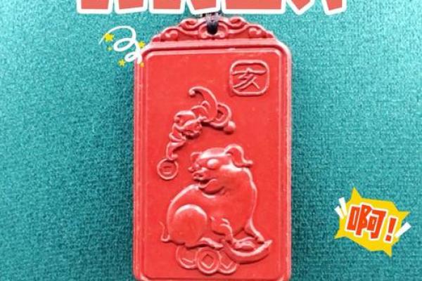 2025属猪带什么最旺_属猪人长期佩戴啥最好 2025属猪带什么最旺_属猪人长期佩戴啥最好