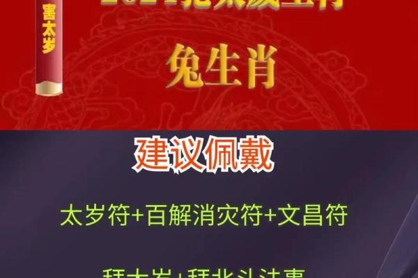 2024年属兔的多大 2024年属兔的年龄详解今年你几岁 2024年属兔的多大 2024年属兔的年龄详解今年你几岁