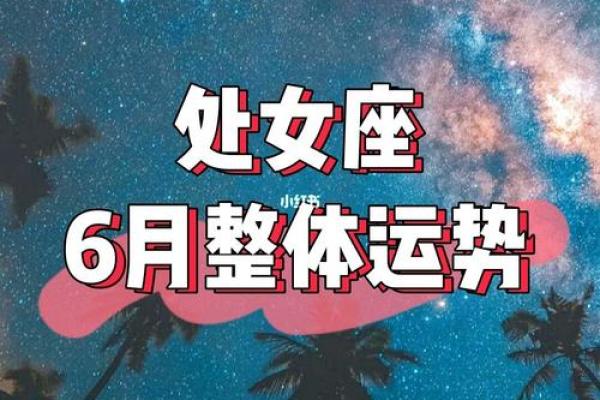 2025年4月11日今日处女座运势 2025年4月11日今日处女座运势