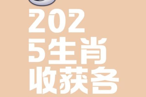 2025年属猪几岁 2025年属兔几岁 2025年属猪几岁 2025年属兔几岁