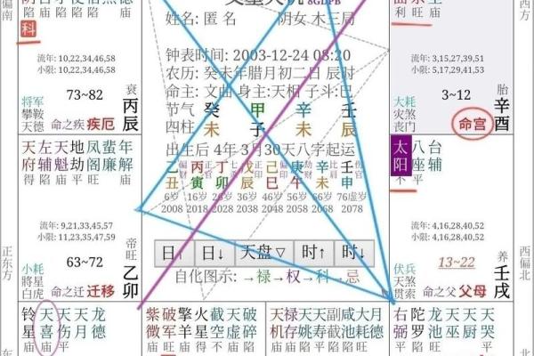2025年4月5日未时女命紫微斗数全解盘 2025年4月5日未时女命紫微斗数全解盘