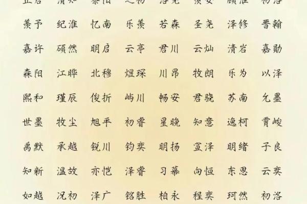 2019年6月20号子时出生的男孩起名时要注意什么姓名