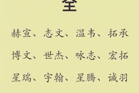 2019年6月1号子时出生的男孩要怎么起名字姓名