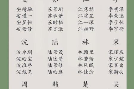 傍晚7点出生的属蛇男孩要如何起名，宜用什么字姓名