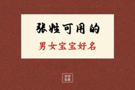 张姓男孩名字大全-张姓男孩起名字大全-张姓名字大全姓名