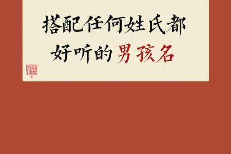2019年6月20号子时出生的男孩起名时要注意什么姓名