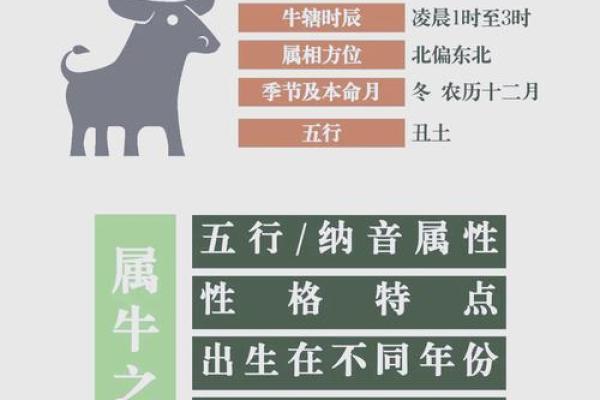 属牛酉时出生的男孩的取名技巧姓名