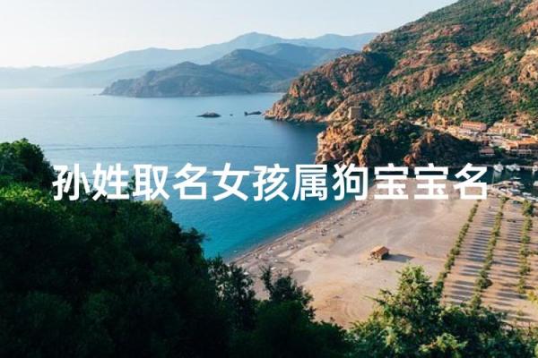 上午11点出生的属狗男孩怎么取名,用什么字好姓名 上午11点出生的属狗男孩怎么取名,用什么字好姓名