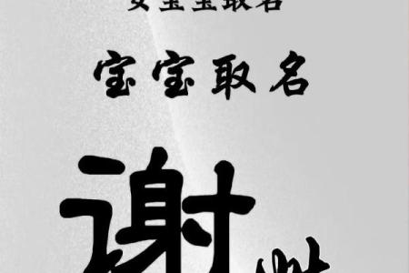 谢姓女孩名字大全-谢姓女孩起名字大全-谢姓名字大全姓名
