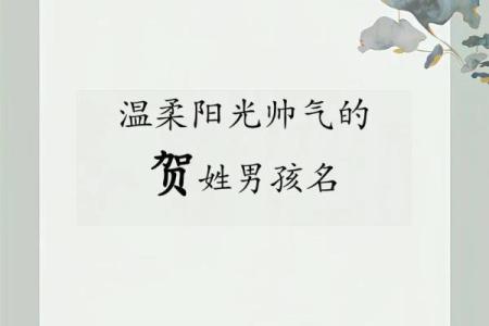 2019年3月20号午时出生的男孩起名方法姓名