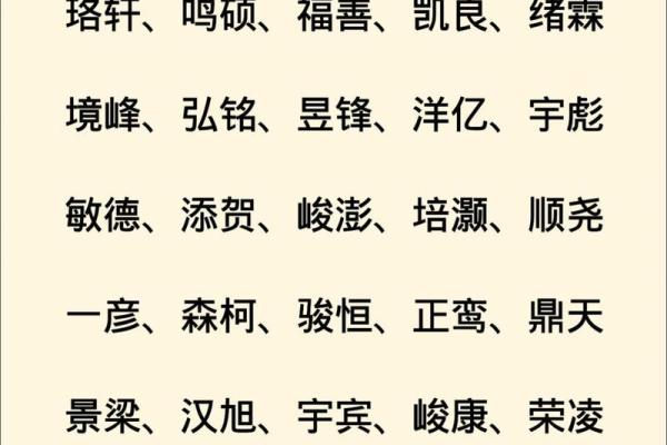 2019年5月5号寅时出生的男孩如何起名姓名