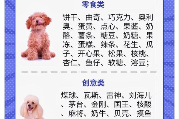 十月份出生的属狗男孩应该如何取一个好名字姓名