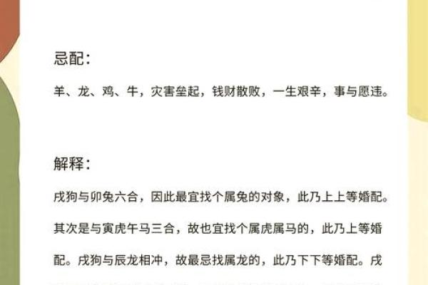 十月份出生的属狗男孩应该如何取一个好名字姓名