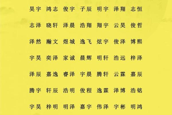 2019年4月29号寅时出生的男孩应该起什么样的名字姓名