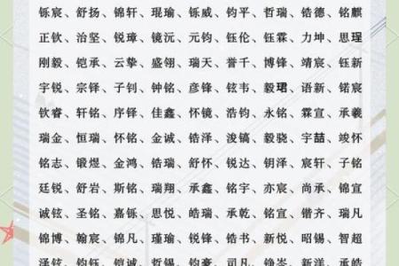 下午出生的属猴男孩起什么名，适合什么字姓名