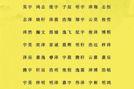2019年4月29号寅时出生的男孩应该起什么样的名字姓名