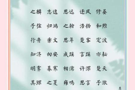 2019年5月23号寅时出生的男孩要怎么起名字姓名