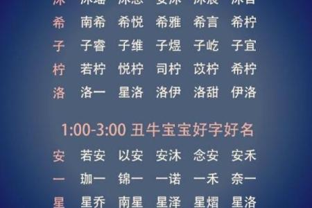 邴姓男孩名字大全-邴姓男孩起名字大全-邴姓名字大全姓名