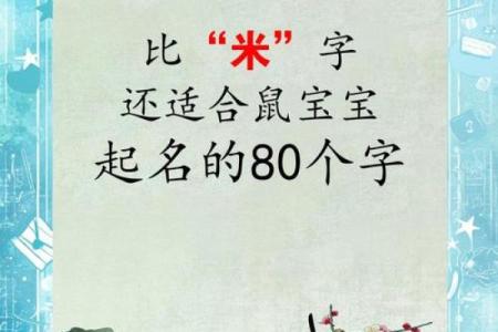 给晚上出生的属鼠男孩起名宜用什么字姓名