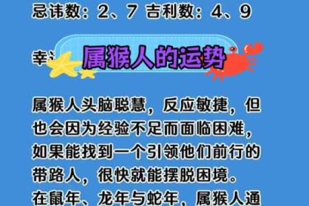 傍晚7点出生的属猴男孩要如何起名，适合用什么字姓名