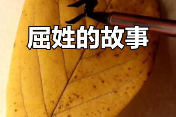 屈姓男孩名字大全-屈姓男孩起名字大全-屈姓名字大全姓名