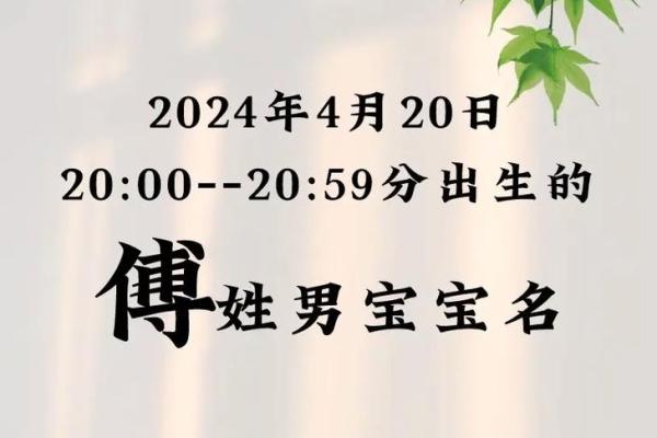 傅姓女孩名字大全-傅姓女孩起名字大全-傅姓名字大全姓名