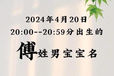 傅姓女孩名字大全-傅姓女孩起名字大全-傅姓名字大全姓名