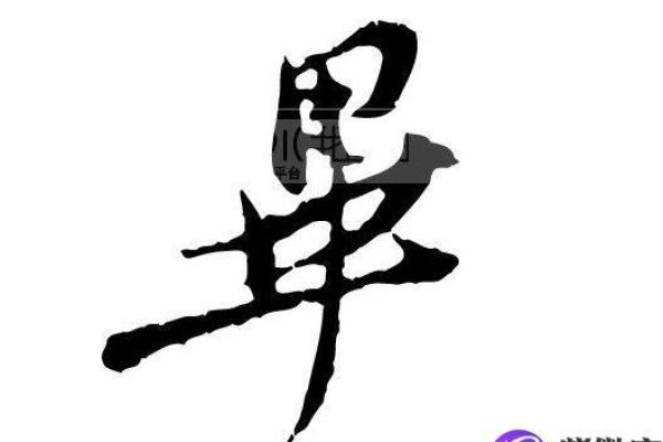 毕姓女孩名字大全-毕姓女孩起名字大全-毕姓名字大全姓名