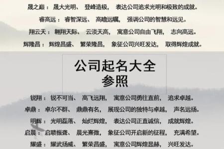 品牌起名字的六大实用策略-姓名学-华易网姓名