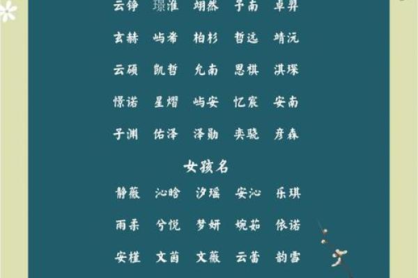 11月份出生的属鸡男孩起什么名字好姓名
