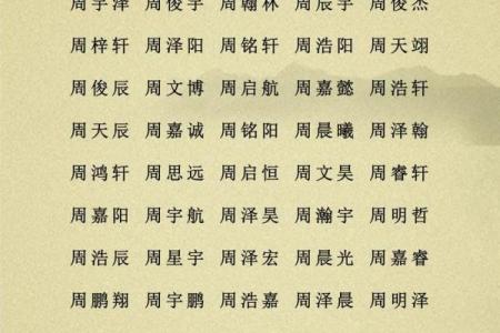 8月份出生的属龙男孩该如何取名字姓名