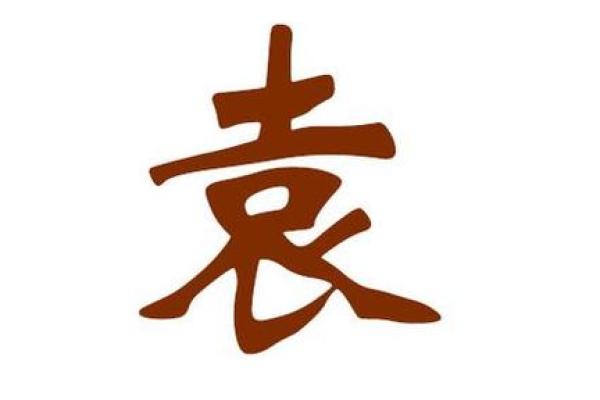 袁姓男孩名字大全-袁姓男孩起名字大全-袁姓名字大全姓名