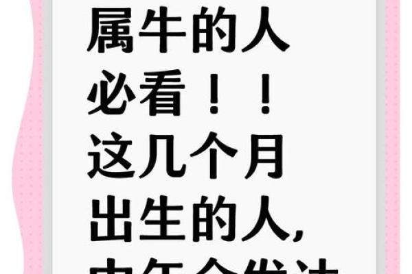 寅时出生的属牛男孩怎样起名姓名