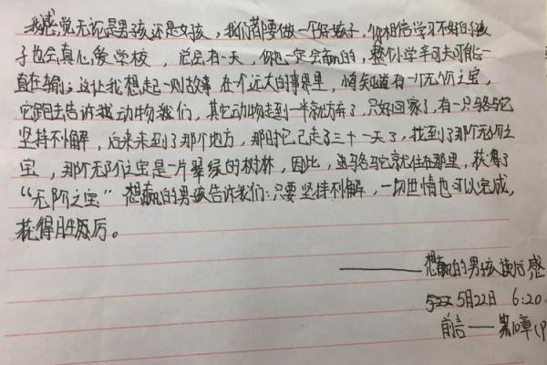 2019年3月31号辛时出生的男孩要怎么起名字姓名