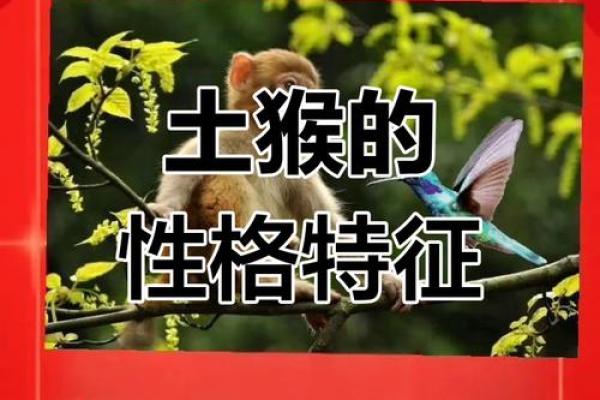 中午出生的属猴男孩取什么名，宜用什么字姓名
