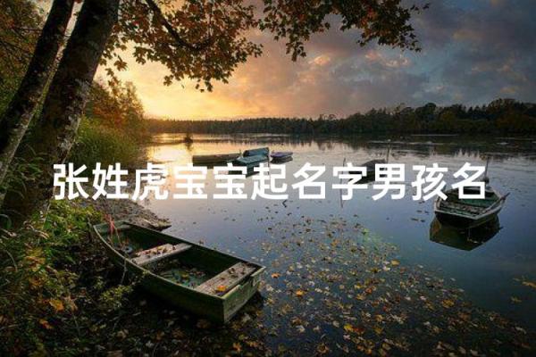 凌晨2点出生的属虎男孩如何起名，宜用什么字姓名