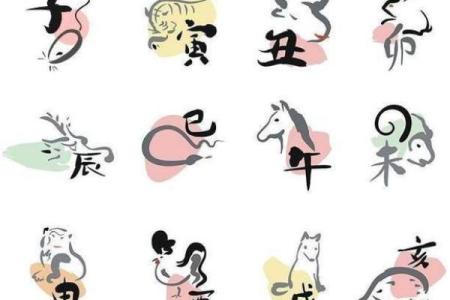 如何给属猪申时出生的男孩取个好名字姓名